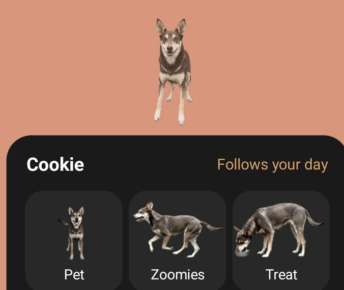 Cookie on an Android phone above her menu of moments